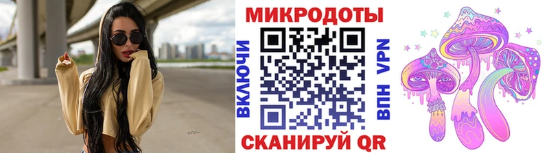 shop наркотические препараты  Заволжск  Галлюциногенные грибы Magic Shrooms  закладки 